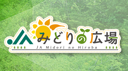 sdg_midori
