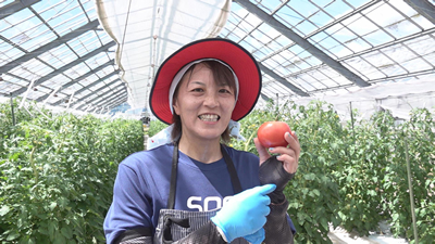 midori260718-5