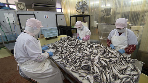 Vol.5特別編　～秋田の伝統食～