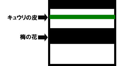 midori20260418-10